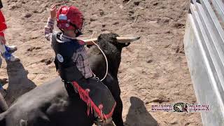 Bull Riding Clinic Rides  September 21 2024 [upl. by Cirle462]