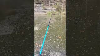 Sum Crappie Fishin 🎣down here at the SpillWay at Barren RiverMerica🇺🇸🇺🇸🇺🇸YeeYee🦅🦅🦅USA🇺🇸🇺🇸🦅🦅 [upl. by Eanwahs]