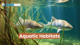 AQUATIC HABITATS [upl. by Atilehs310]