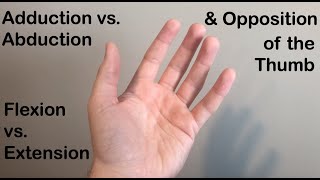 Abduction vs Adduction Flexion vs Extension and Opposition of the Thumb [upl. by Farro]