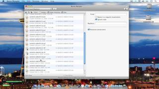 Name Mangler now paid app Batch file renamer app for the Mac [upl. by Aikahc]