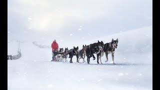 This is how we winter in Wanaka [upl. by Beret]