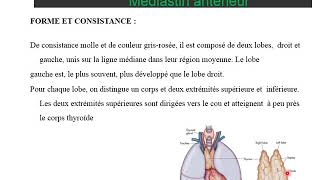 ANATOMIE DU THORAX le médiastin [upl. by Romina]