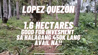 VLOG 98  LOPEZ QUEZON  16 HECTARES GOOD FOR INVEST NA PROPERTY FOR 450K LANG AVAIL NA [upl. by Donella]