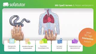 Zentrales und peripheres Nervensystem – Definition amp Funktion [upl. by Shae]