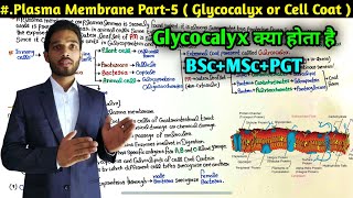 What is Cell Coat or Glycocalyx  Plasma Membrane Part5  BSc first Year  MSc  PGT  NEET [upl. by Fisch637]