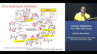 MCAT® Citric Acid Cycle  Part 2 Summary of the Citric Acid Cycle [upl. by Judon]