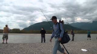 Sockeye Salmon fishing Fraser River [upl. by Ball]