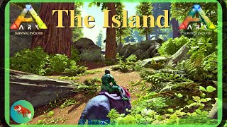 Exploring the Redwoods ARK Survival Evolved  SOLO  The Island 2024 EP18 [upl. by Nanny]