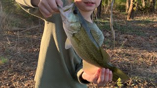 Bass Fishing North Alabama creek Tennessee River tributary Catching some 2 pounders on Wacky Rigs [upl. by Albarran]