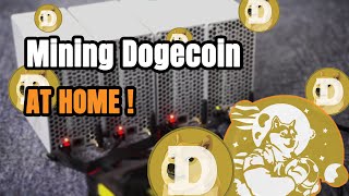 【NHASH】Profitable Goldshell MiniDOGE miner earn your own LTC and DOGE at the same time [upl. by Niriam386]