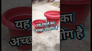 🧑‍🌾Garden के लिए सबसे अच्छे गमले🪴 Low Budget Plant Ke Liye Gamla ☘️ CareGardener [upl. by Allveta]