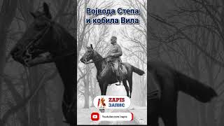 Војвода Степа и кобила Вила history [upl. by Anierdna]