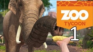 Zoo Tycoon Xbox  Walkthrough Gameplay Lets Play  Part 1  Campaign  Cambridgeshire Animal Park [upl. by Charmaine]