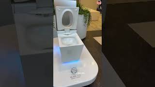 Worlds most expensive toilet [upl. by Ylas]