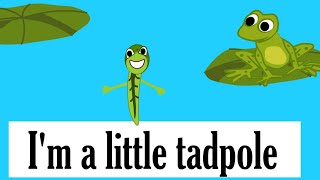 Im a little tadpole rhyme for kindergarten [upl. by Madella]