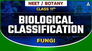 BIOLOGICAL CLASSIFICATION04  KINGDOM FUNGI CLASS 11  NEET SANJEEVANI BATCH  BOTANY BY SANKALP [upl. by Baniez]