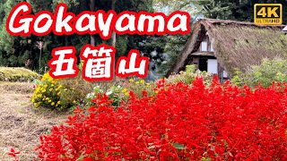 4K JAPAN 五箇山 相倉 菅沼 Gokayama Ainokura amp Suganuma Beautiful Japanese Villages UNESCO World Heritage [upl. by Leanatan717]