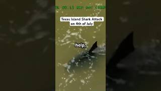 Texas Island Shark Attack on 4th July [upl. by Aicinoid]