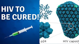 HIV Capsids Potential CURE Insights and VACCINE Progress [upl. by Cinom]