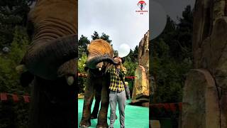 Elephants Balloon Inflating Technique🎈🎈 trending shorts viralvideo animals elephantspr [upl. by Akcemat]