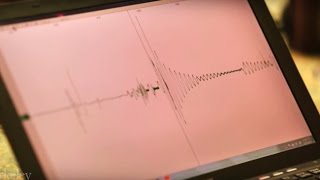 How Does a Seismometer Work [upl. by Katalin]