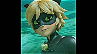 The Ladynoir miraculous chatnoir ladybug ladynoir fyp [upl. by Eisteb776]