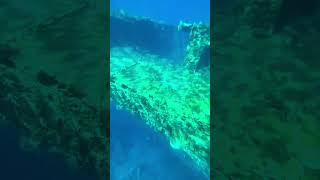 Altes versunkenes Schiff egypt ship travel diving fish water beach old vacation africa [upl. by Nottus]