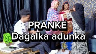 Prank dagal isku badaley xafso xilkas iyo sacdiyo galmudug [upl. by Anikal]