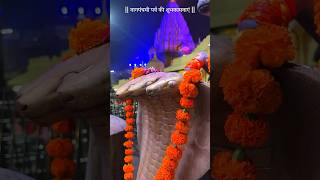 mahakaleshwar Jyotirlinga ujjain shorts mahakal [upl. by Naomi]