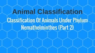 Classification Of Animals Under Phylum Nemathelminthes Part 2 [upl. by Gwendolen]