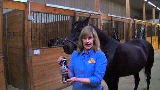 Absorbine UltraShield EX  Fly Spray For Horses [upl. by Eeroc]