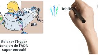 Cest quoi les inhibiteurs de la Topoisomérase chimiothérapie [upl. by Shotton]