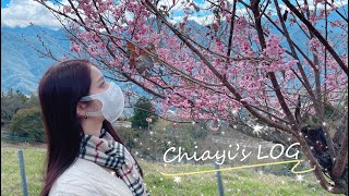 Chiayi’s LOG EP 13  Holiday Vlog ❤️ [upl. by Alvina]