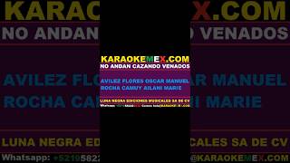 karaoke noel torres  no andan cazando venados karaokemex [upl. by Ranna]