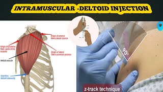 intramuscular deltoid injection full details in hindiprocedure  material amp precautions [upl. by Trebron]