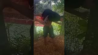 Wrestling full video enjoy [upl. by Ayiak]