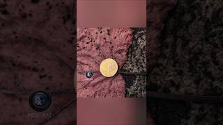 How to Amazing Photography with coin short 📱👛 🔥 coin photographyshort [upl. by Yobybab]