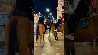 Street of Saint Petersburg at night saintpetersburg street night nightlife horses [upl. by Adora]