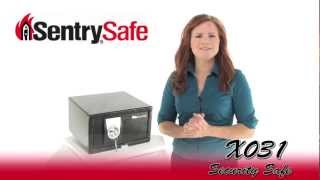 Sentry Safe X031 Security Safe [upl. by Yffub]