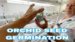 Learn more about Orchid Tissue Culture A Laboratory Tour [upl. by Eissed]