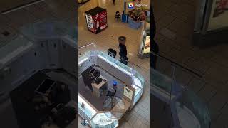 Stoneridge mall jewelry heist in PleasantonCA elgmuzikgrewp stoneridge mall comeup necklaces [upl. by Brantley]