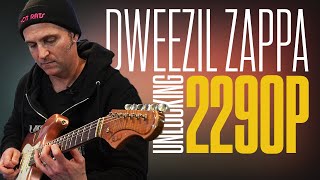 Dweezil Zappa jamming with the 2290 P Dynamic Delay pedal [upl. by Einahpets]