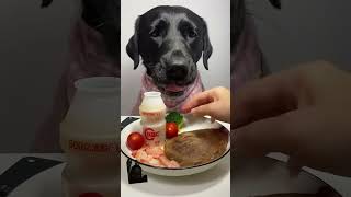 Healthy dog food dog eating donaldtrump shortvideo viralvideo usa america funny football [upl. by Aikit186]