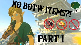 Beating Tears of the Kingdom without using Breath of the Wild items Part 1 [upl. by Hoashis]