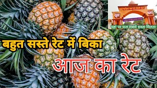 Pineapple Wholesale Price amp Pahadiya Mandi Banaras अनानास फल पहाड़िया मंडी में क्या रेट बिका [upl. by Ennylyak]