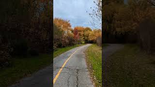 Stone Street Park  Oshawa  ONCanada🇨🇦 viralvideo viralreels viralshorts [upl. by Saied]