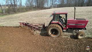 International Harvest 5088 Tractor Plowing  New Garden Ohio [upl. by Erimahs578]