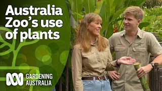 Terri and Robert Irwin explain why plants are essential to Australia Zoo  Gardening Australia [upl. by Acim]