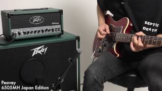 Peavey  6505MH Japan Edition【デジマート製品レビュー】 [upl. by Nmutua952]